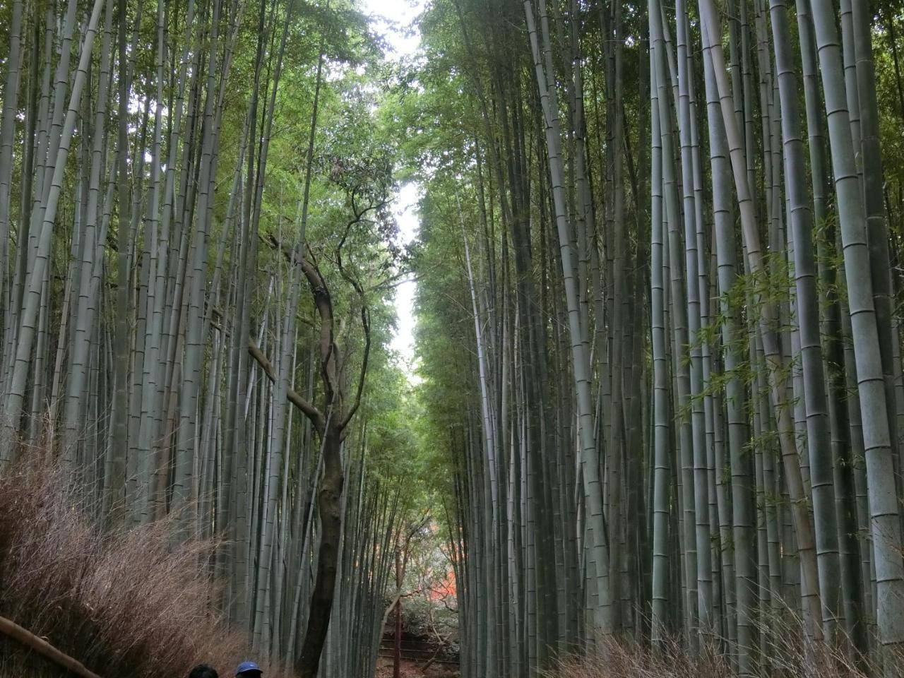 Kawasemi An Villa Kyoto Dış mekan fotoğraf